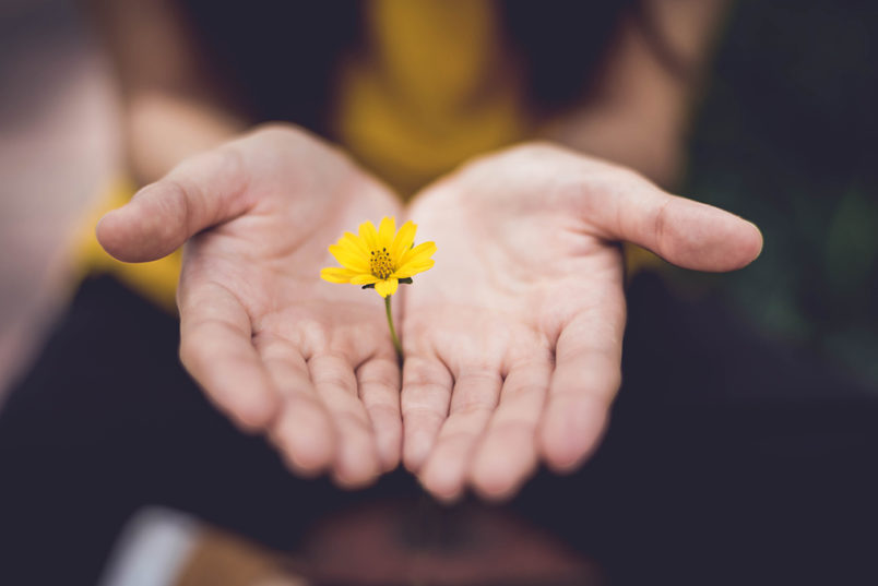 forgive-flower-hand