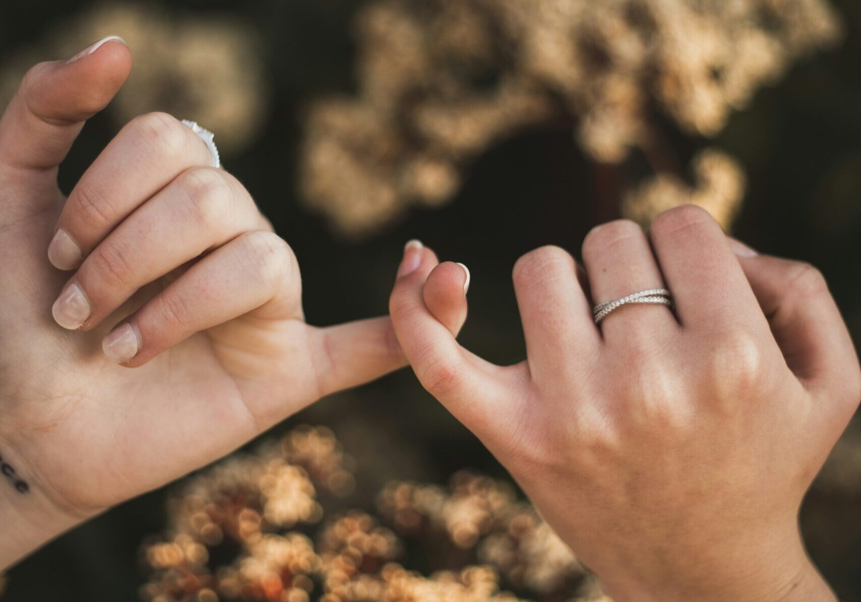 walter-randlehoff-blJHnXlsuZU-unsplash